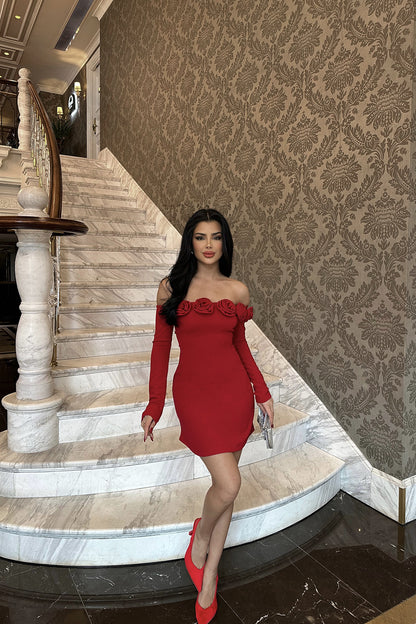 Red Rose Mini Dress